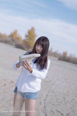 芝加哥烈焰